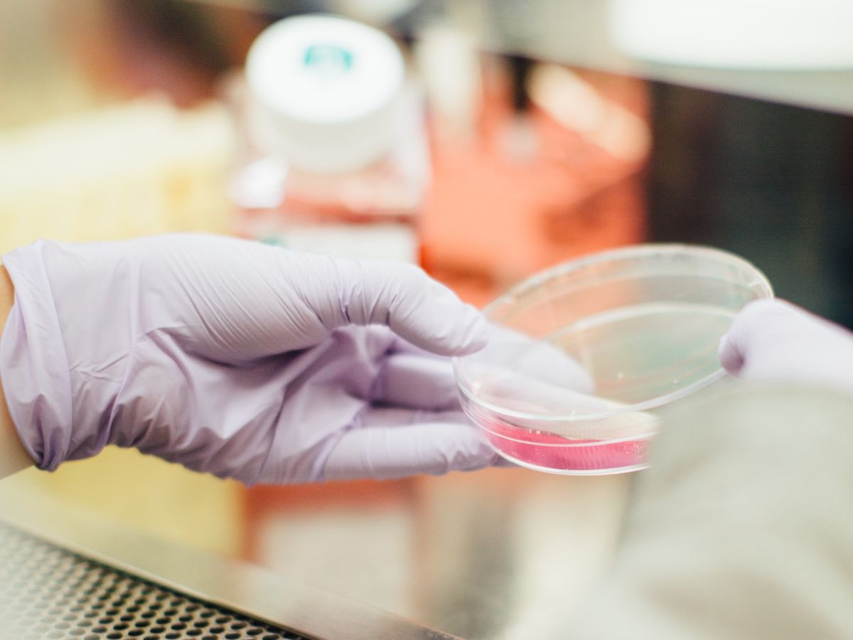 The image shows a person wearing gloves handling a petri dish in a laboratory setting.